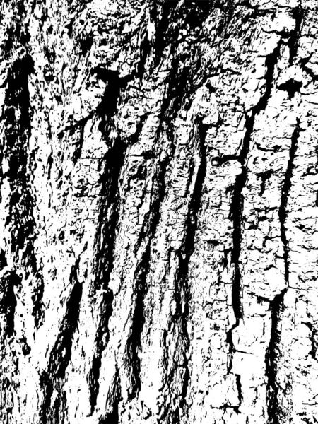 Tree Bark Vector Background Grunge Urban Old Peeled Wall Dust — Image vectorielle