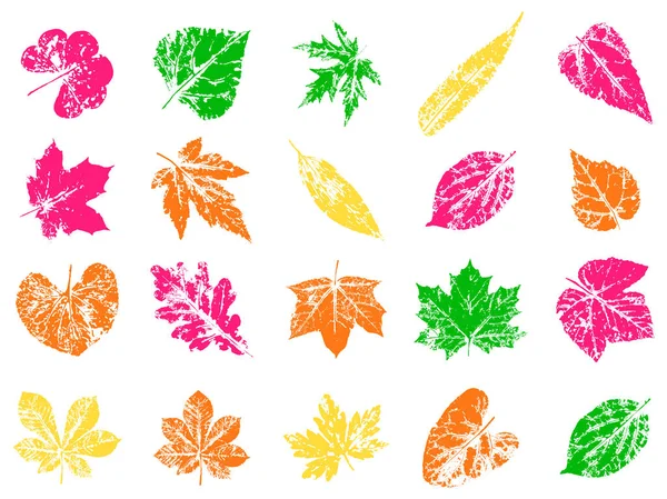 Leaf Stamp Imprint Autumn Fallen Leaves Creative Natural Decor Hand — Stock Vector