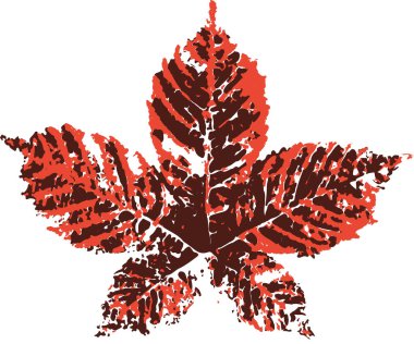 Horse chestnut leaf stamp. Imprint of fallen leaves. Autumn pattern. Creative natural decor. Hand-crafted vector art prints. Seasonal modern packaging.