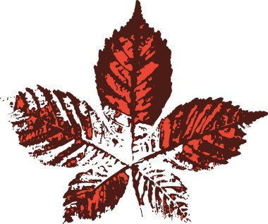 Horse chestnut leaf stamp. Imprint of fallen leaves. Autumn pattern. Creative natural decor. Hand-crafted vector art prints. Seasonal modern packaging.