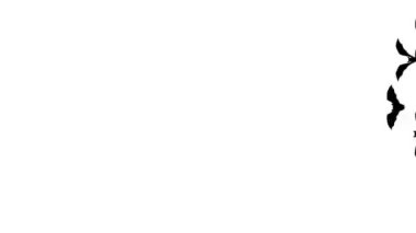 Cadılar Bayramı yarasa geçişi. Çizgi film yarasaları 2 boyutlu animasyon. Kanalda başlık, giriş, küçük resim için Halloween Stock Görüntüsü.