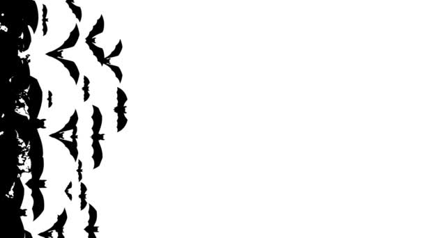 ハロウィンバット遷移 漫画のコウモリ2番目のアニメーション タイトル イントロ チャンネル上のサムネイルのためのハロウィーンのストック映像 — ストック動画