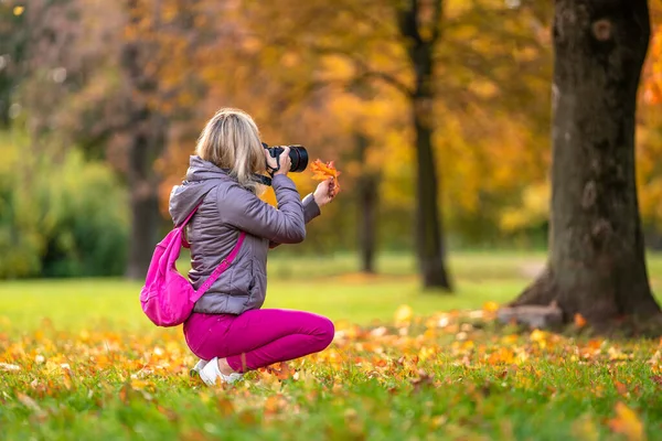 Kobieta fotograf robi zdjęcia żółtego liścia w jesiennym parku — Zdjęcie stockowe