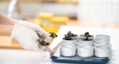 Fabrikadaki doğal organik kozmetikler için ölçü bardakları