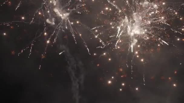 Яскраві кольорові феєрверки в нічному небі — стокове відео