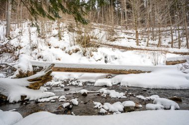 Dağlık bir arazide, bir deresi ve kulübesi olan karlı bir orman.