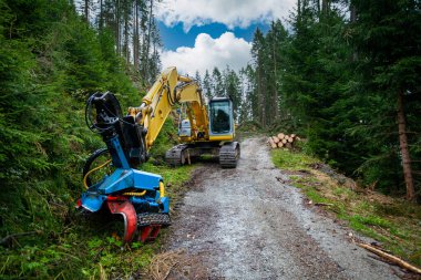Orman kayıt makinesi, endüstriyel ahşap işleme