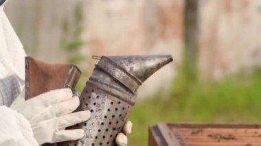 Arı, balmumu ve bal tutarken tütsülenmiş arı kovanı