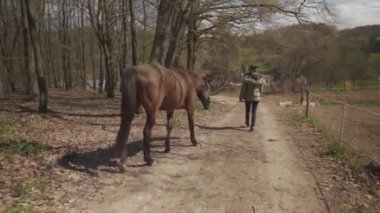 Genç kadın atları açık otlaktan alır.