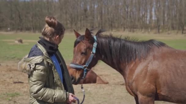 De jonge vrouw haalt de paarden uit de open weide. — Stockvideo