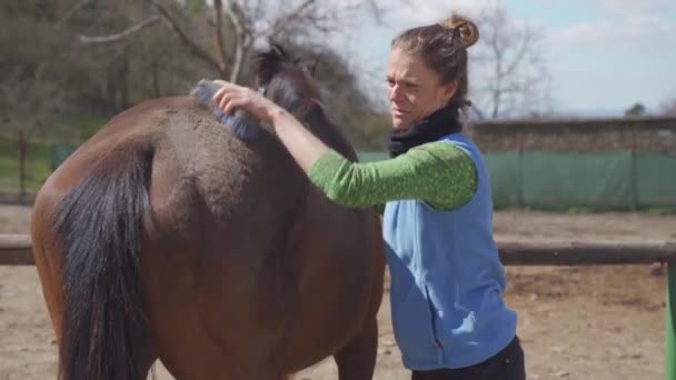 Pferdepflege, Kämmen und Bürsten. junge Frau kümmert sich vor dem Ausritt um das Pferd — Stockvideo