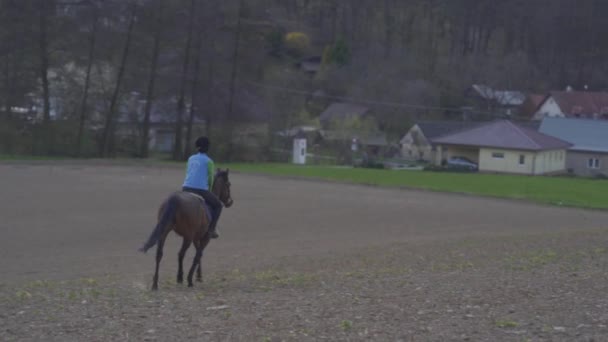 Giovane donna cavalca un cavallo in natura — Video Stock