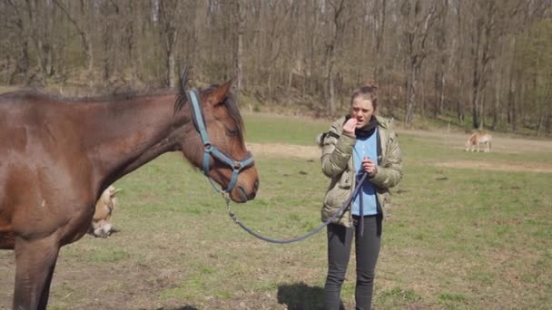 Mladá žena odveze koně z otevřeného výběhu — Stock video