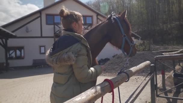 Péče o koně, česání a kartáčování. mladá žena se stará o koně před jízdou — Stock video