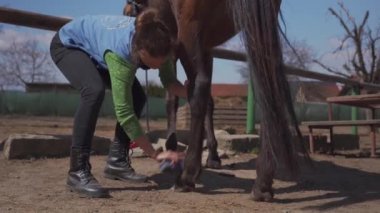 At bakımı, tarama ve fırçalama. Genç bayan ata binmeden önce bakar.
