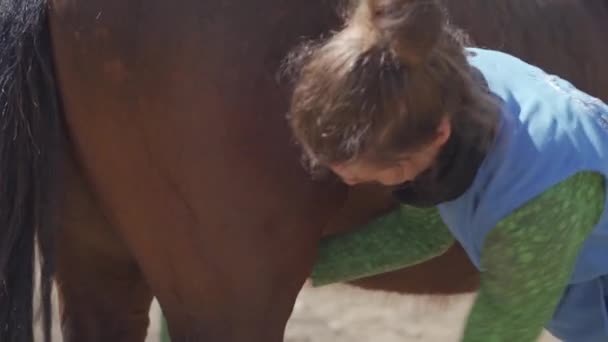Уход за лошадьми, расчесывание и чистка. молодая женщина ухаживает за лошадью перед поездкой — стоковое видео