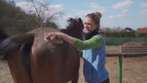 Pferdepflege, Kämmen und Bürsten. junge Frau kümmert sich vor dem Ausritt um das Pferd — Stockvideo