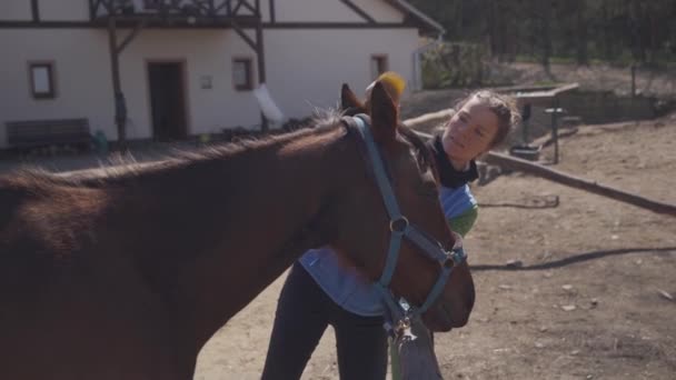 Cuidados com os cavalos, pentear e escovar. jovem mulher cuida do cavalo antes do passeio — Vídeo de Stock