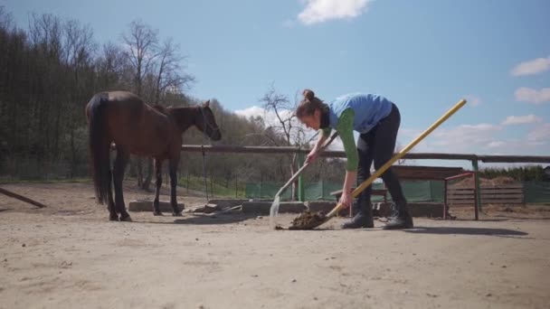 Úklid koňských trusu na farmě — Stock video