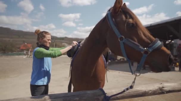 Osiodłane konie w zagrodzie, przygotowanie do jazdy konnej — Wideo stockowe