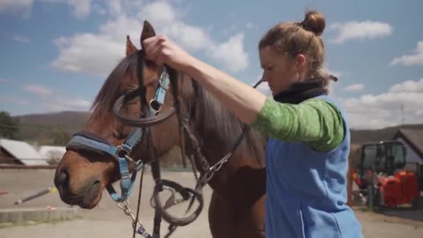 Caballos ensillados en el corral, preparación para montar a caballo — Vídeo de stock