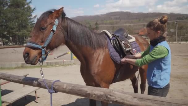 Gezadelde paarden op het erf, voorbereiding voor paardrijden — Stockvideo