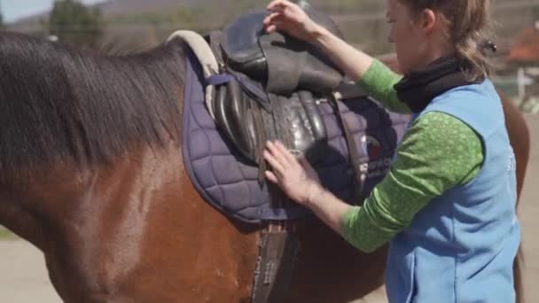 Osedlaní koně na dvoře, příprava na jízdu na koni — Stock video