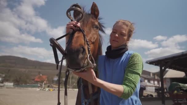 Osiodłane konie w zagrodzie, przygotowanie do jazdy konnej — Wideo stockowe