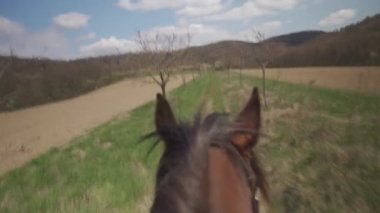 At binerken eyerden manzara manzarası