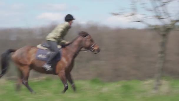 Μια νεαρή γυναίκα ιππεύει ένα άλογο στην άγρια φύση. — Αρχείο Βίντεο