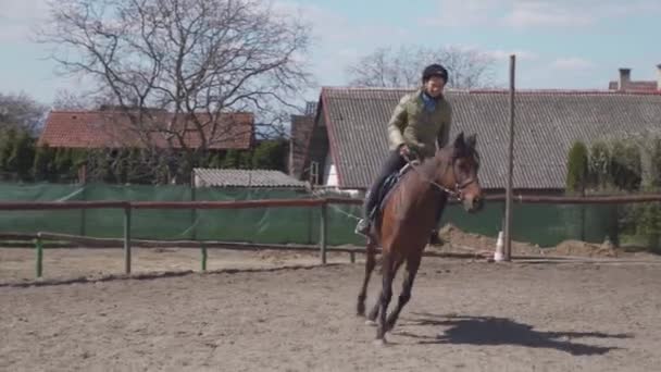 Paardrijden in de paddock op het erf — Stockvideo