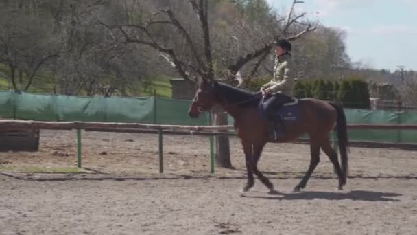 Ιππασία στη μάντρα στο Farmyard — Αρχείο Βίντεο