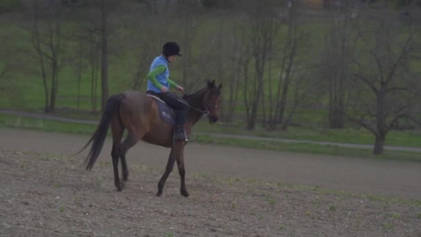 Mladá žena jezdí na koni v divočině — Stock video