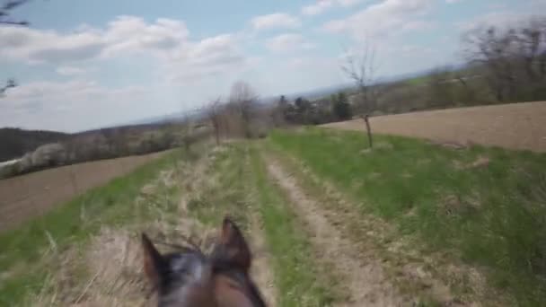 Pohled na krajinu z koňského sedla při jízdě na koni — Stock video