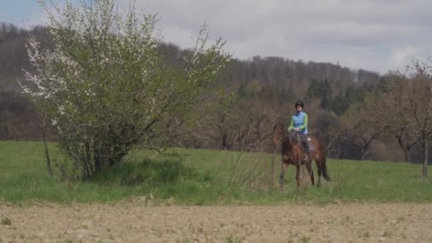 Młoda kobieta jeździ na koniu w dziczy — Wideo stockowe