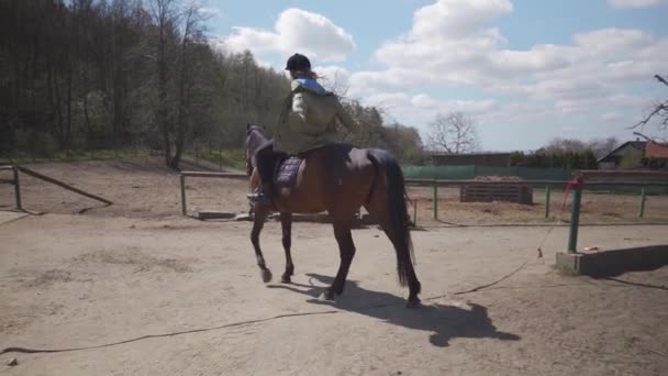 Jízda na koni v ohradě na dvoře — Stock video