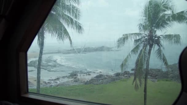 Σταγόνες βροχής πέφτουν στο ποτήρι. φοίνικες παραλία και τον ωκεανό στο παράθυρο — Αρχείο Βίντεο