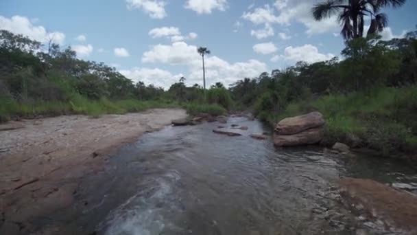 Bergsflod Den Tropiska Regnskogen — Stockvideo