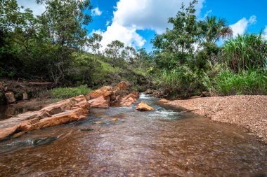 Tropikal yağmur ormanlarındaki dağ nehri.