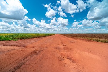 Güney Amerika 'daki tarlalar arasındaki kırmızı toprak yol.