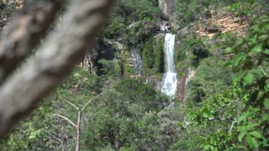 Güney Amerika yağmur ormanlarında doğal bir şelale..