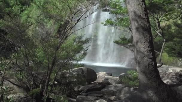 Güney Amerika Yağmur Ormanlarında Doğal Bir Şelale — Stok video