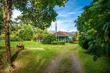 Kasabaya giden orman yolu, güzel manzaralı bir dağ bölgesi..