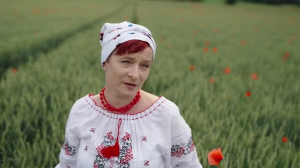 Mulher Vestido Nacional Ucraniano Campo Papoula Florido — Vídeo de Stock