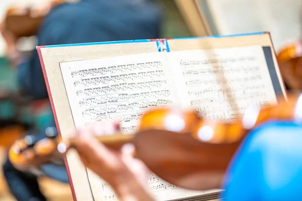 Violinist Plays Concert Philharmonic — Fotografia de Stock