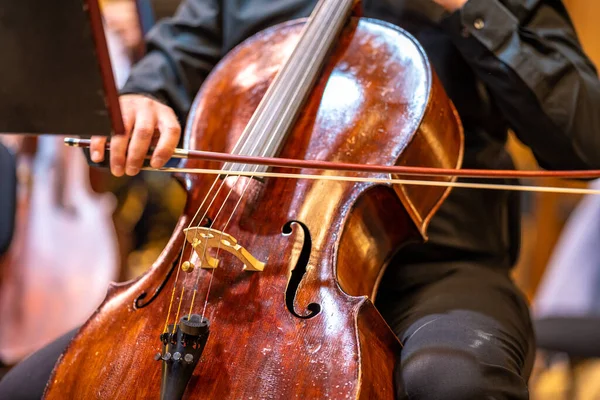 Cello Stage Philharmonic Concert — Fotografia de Stock