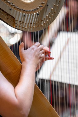 Orkestra sahnesinde arp, telli ellerin ayrıntıları..
