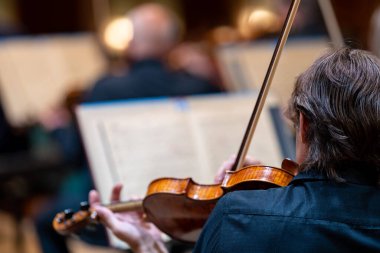a violinist plays at a concert in the Philharmonic.