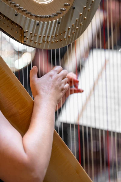 Harp Symphony Orchestra Stage Detail Hands Strings — Fotografia de Stock