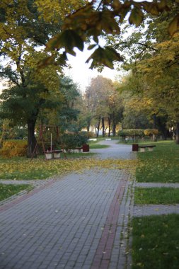 Sonbahar uykulu sokaklarda sürünür.